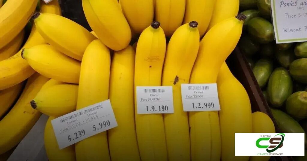 Preço Banana: Descubra porque o valor pode surpreender você!