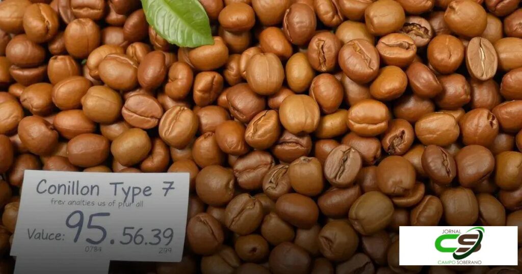 Preço do café conilon tipo 7 hoje: Descubra as tendências