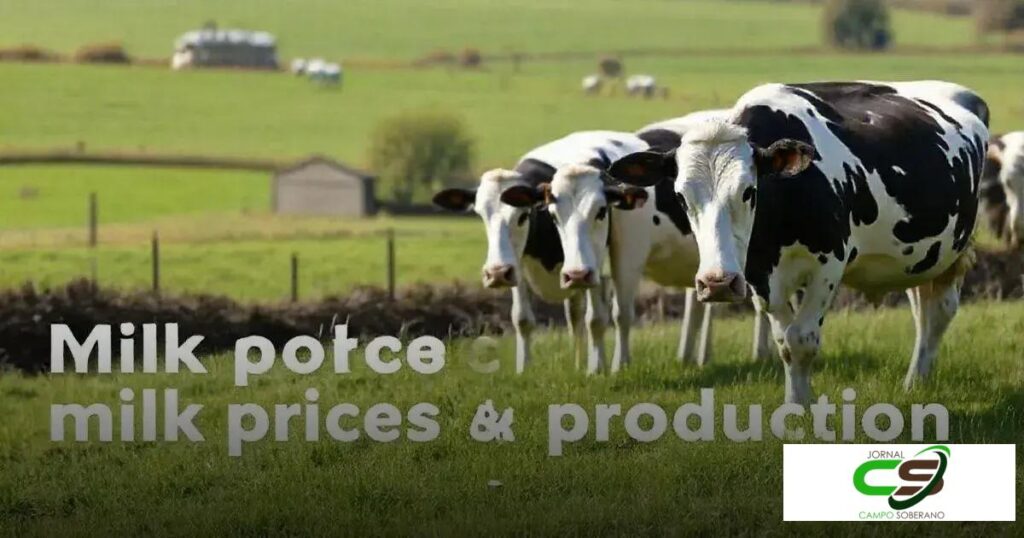 Preço do leite: Descubra o que tem impactado os valores