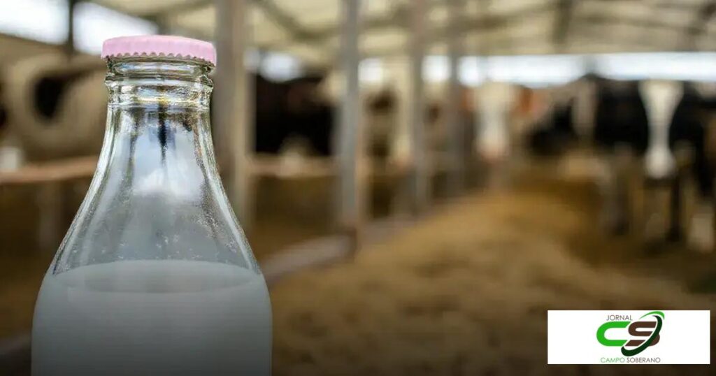Preço do leite: O que você precisa saber agora