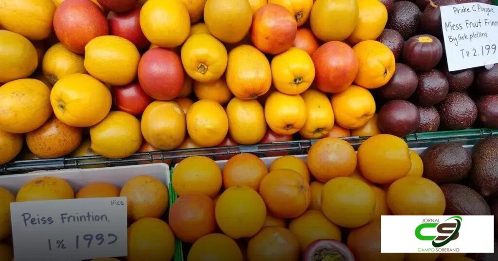 Preço do Maracujá: Descubra os Fatores que Influenciam o Valor