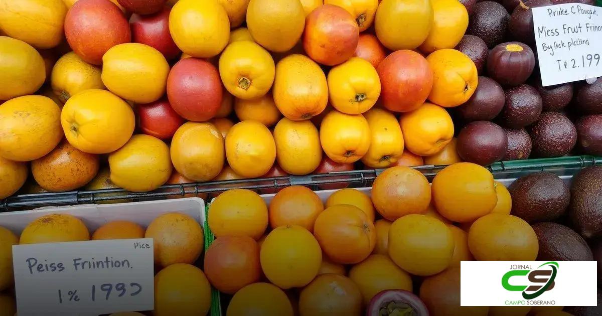 Preço do Maracujá: Descubra os Fatores que Influenciam o Valor