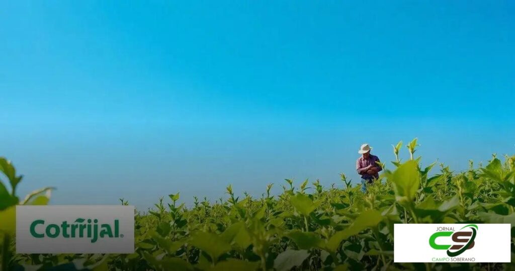 Preço do Soja Cotrijal: Tendências, Análises e Perspectivas