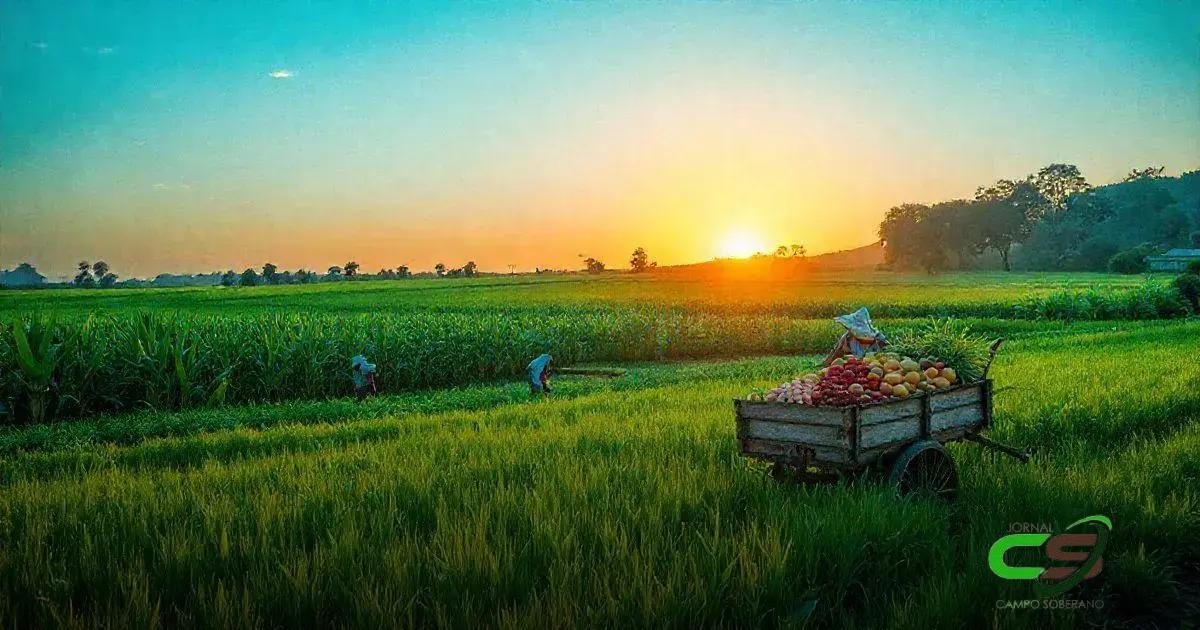 Principais Cultivos na Região