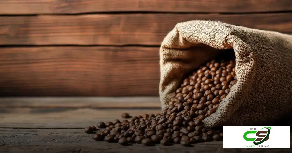 Saco de Café: O Que É, Tipos e Benefícios Que Você Precisa Conhecer