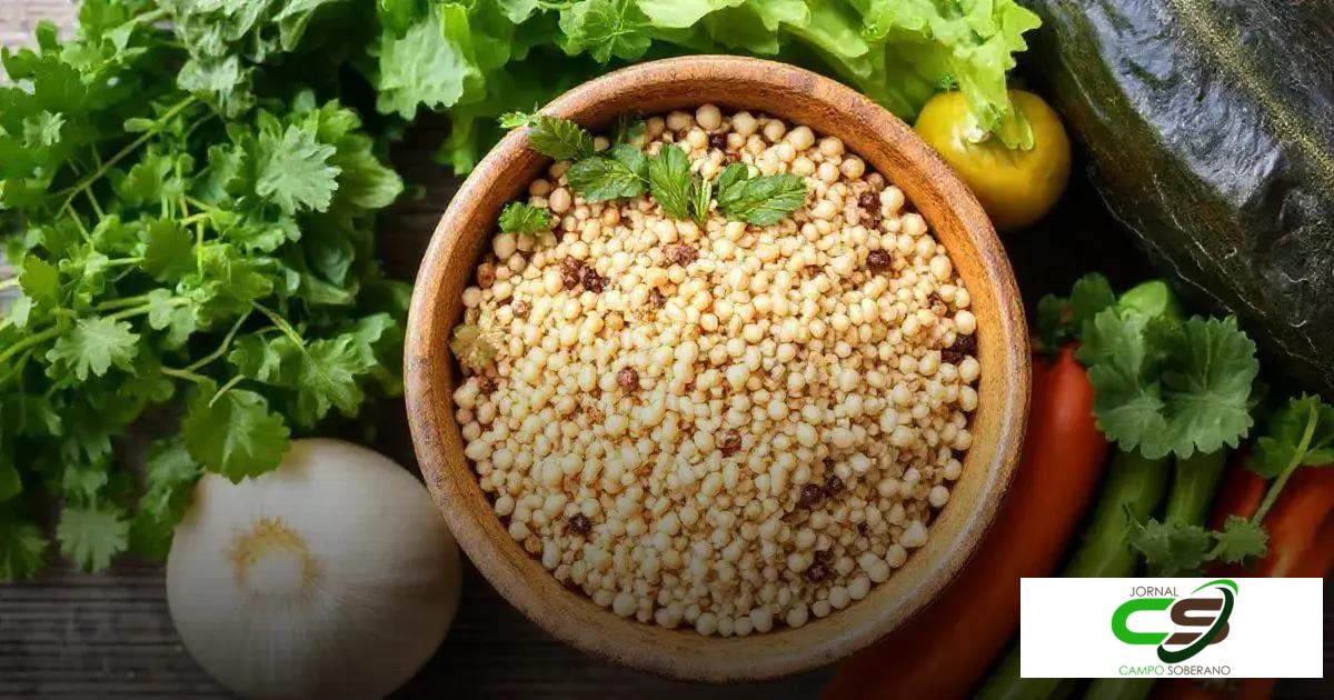 Sorgo serve para que? Descubra seus Benefícios Incríveis