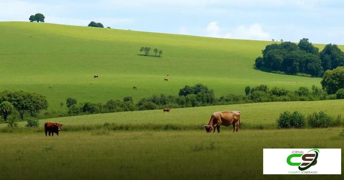 Vantagens do pastejo rotacionado Vantagens do pastejo rotacionado