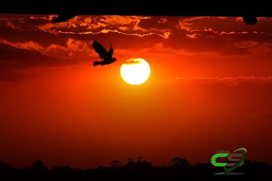 2024: O Ano Mais Quente da História do Brasil