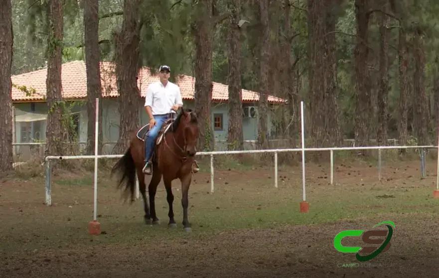5 Dicas para Quebrar a Rotina do Seu Cavalo e Aumentar o Desempenho