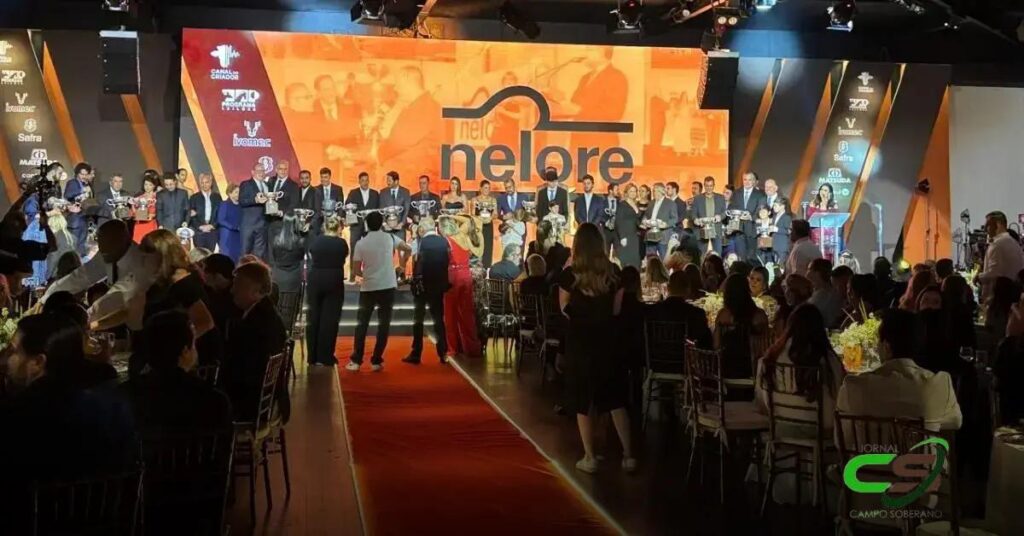 5 Motivos para Celebrar o Sucesso da Nelore Fest