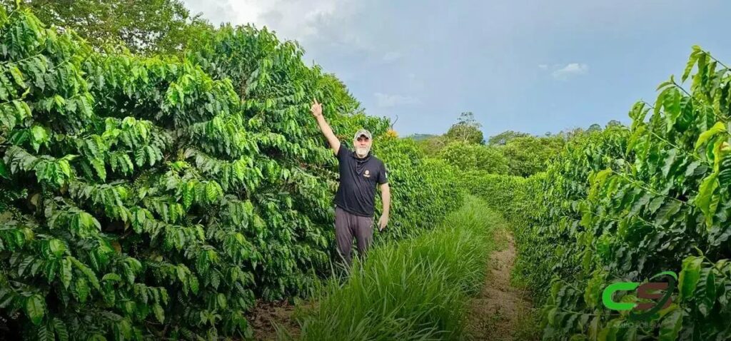 5 Motivos para o Otimismo das Agrícolas na Bolsa de Nova York