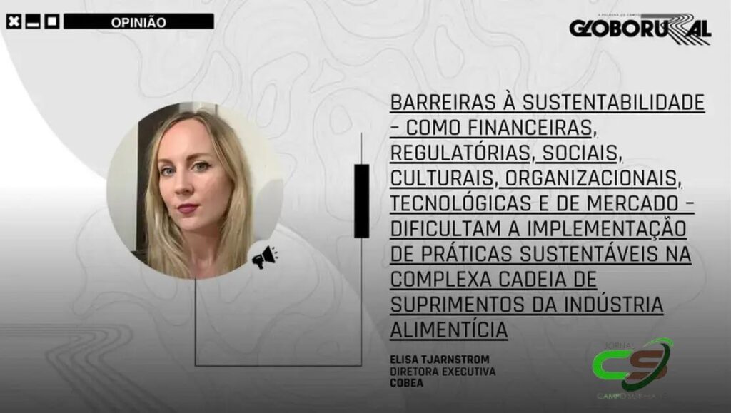 5 Passos para Avançar na Agenda de Bem-Estar Animal