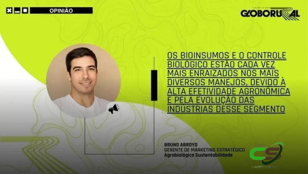 5 Práticas de Manejo para Melhorar a Sanidade nas Lavouras de Soja