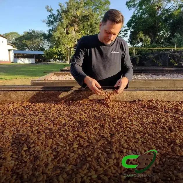 5 Razões para Investir no Turismo do Cacau e na Lavoura