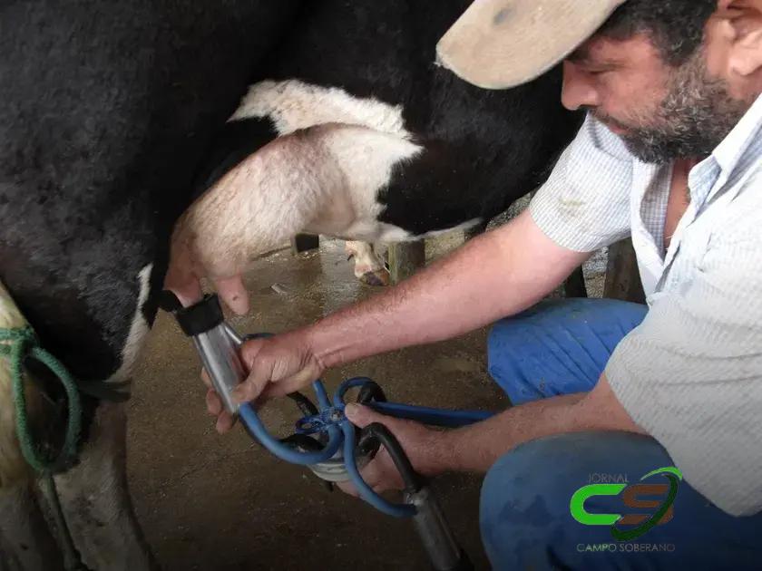 5 Razões Pelas Quais a Nutrição é Crucial para a Fertilidade das Vacas Leiteiras