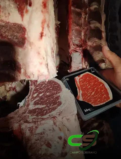 5 Tendências da Pecuária em 2023: Crescimento em Ritmo Menor