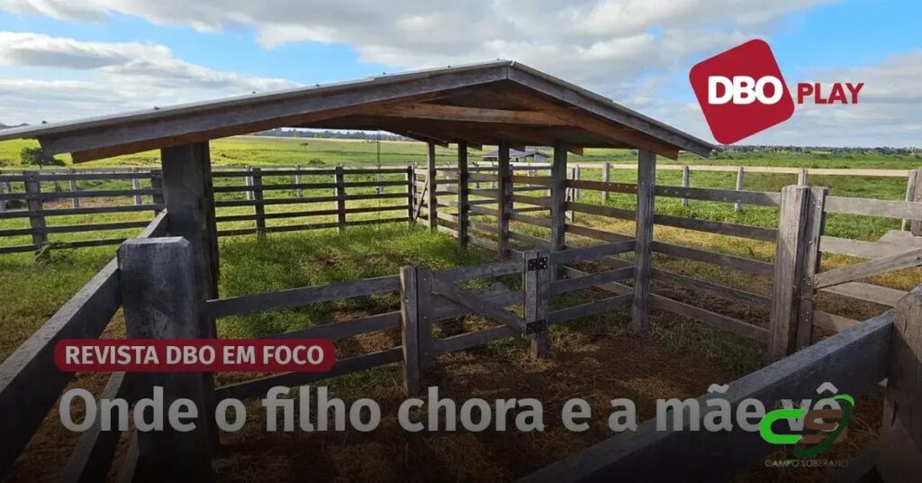 5 Vantagens do Curral Maternidade para Fazendas de Cria