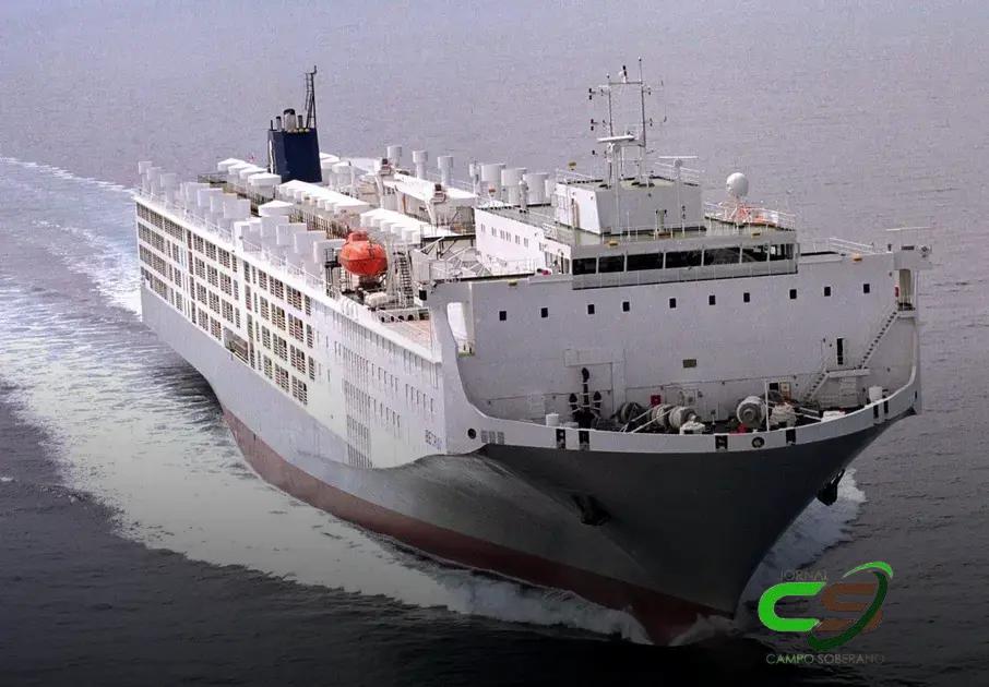 600.000 Bovinos: O Brasil e a Demanda Internacional por Gado Vivo