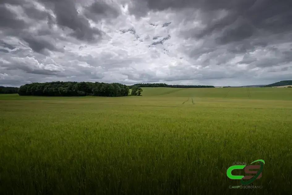 Alerta de Chuvas Intensas: O Que Esperar Neste Fim de Semana