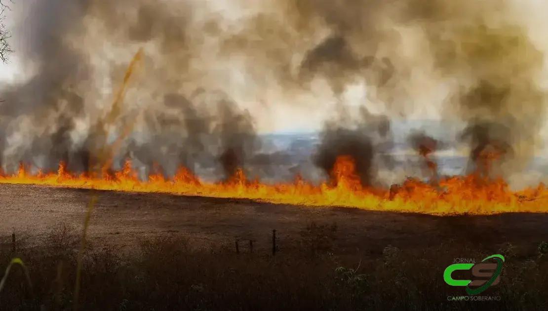 Brasil Registra 1 Milhão de Focos de Queimada em 5 Anos