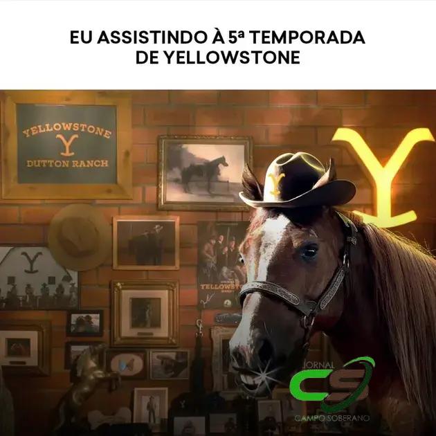 Cavalo Caramelo: O Astro da Sexta Temporada de Yellowstone