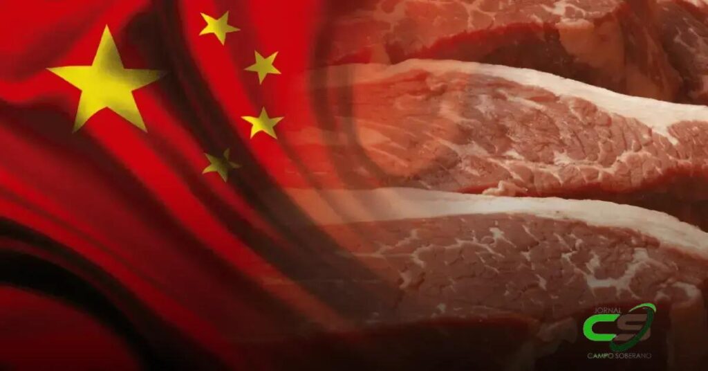 China Investiga Importações de Carne Bovina: O Que Esperar?