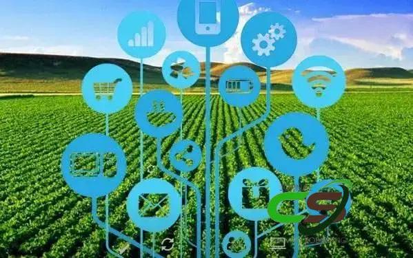 Como a IA Pode Aumentar o Comércio Global em 14% até 2040