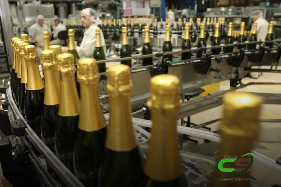 Como a Inteligência de Dados Revoluciona a Fabricação de Espumantes