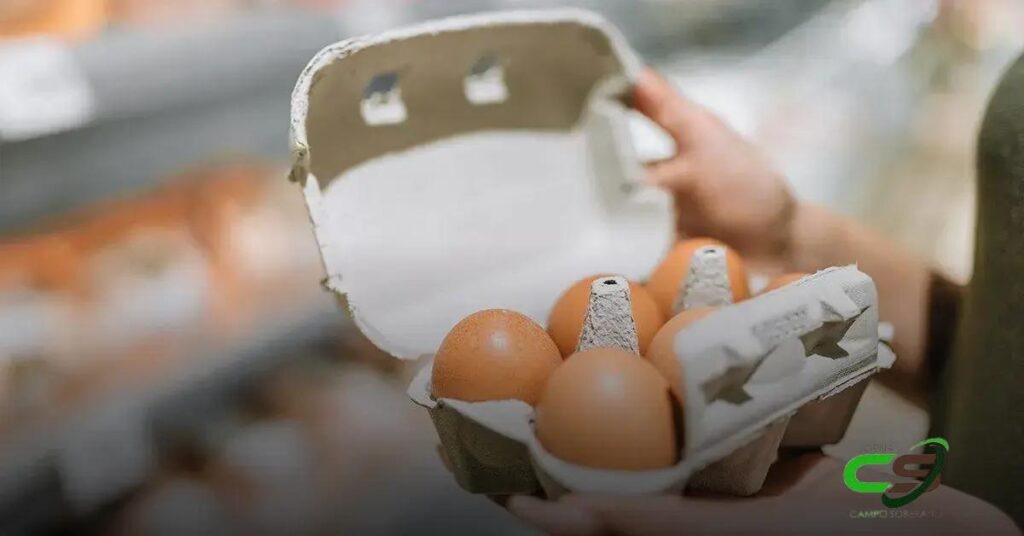 Como a Oferta Limitada de Ovos Está Elevando os Preços