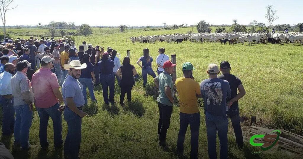 Como as Unidades da Embrapa se Preparam para o Dinapec