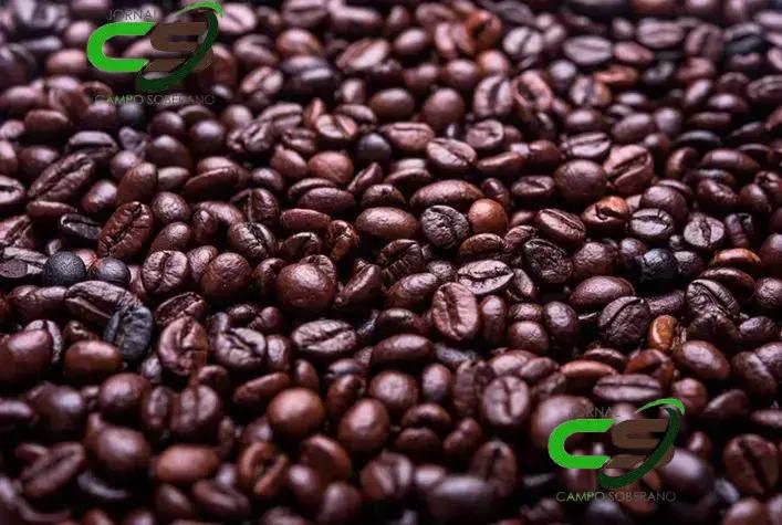 Descubra o Portal do Agronegócio: A Revolução na Agricultura