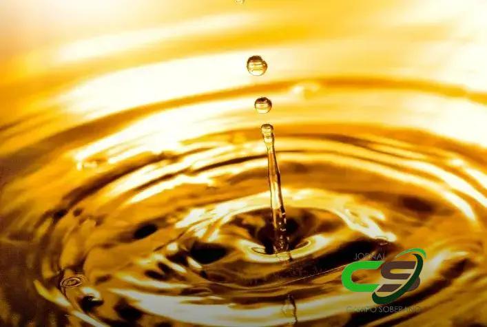 Descubra o Portal do Agronegócio: Sua Fonte de Informação