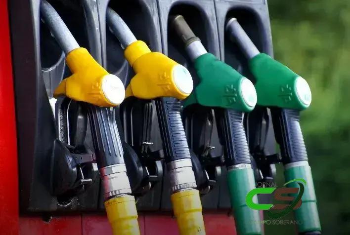 Descubra o Portal do Agronegócio: Sua Fonte de Informação