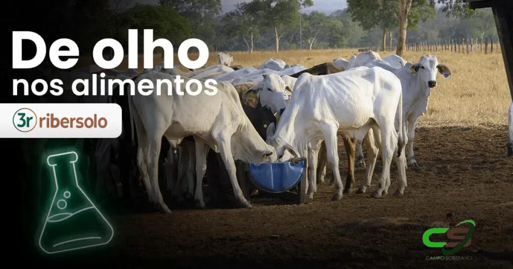 Descubra o Que Fazer Quando o Conteúdo Está Indisponível