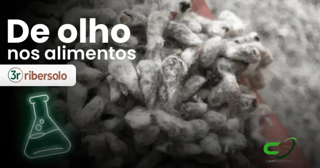 Descubra o que fazer quando o conteúdo está indisponível