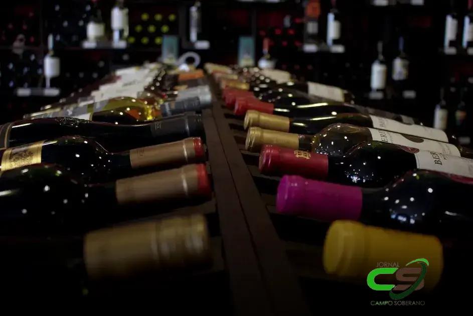 Descubra os 10 Melhores Vinhos do Brasil em 2024