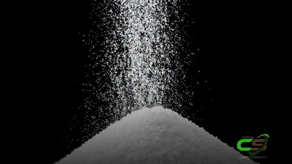 Exportação de Açúcar: Brasil Registra Aumento de 9% em 2024!