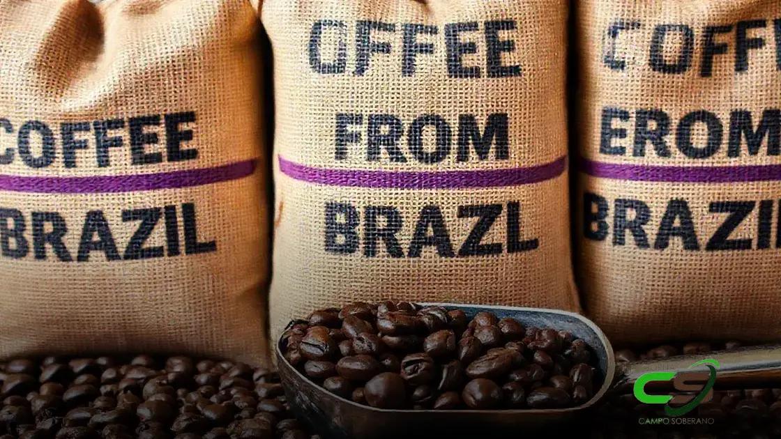 Exportação de Café: Aumento de 38% em 2024! Descubra