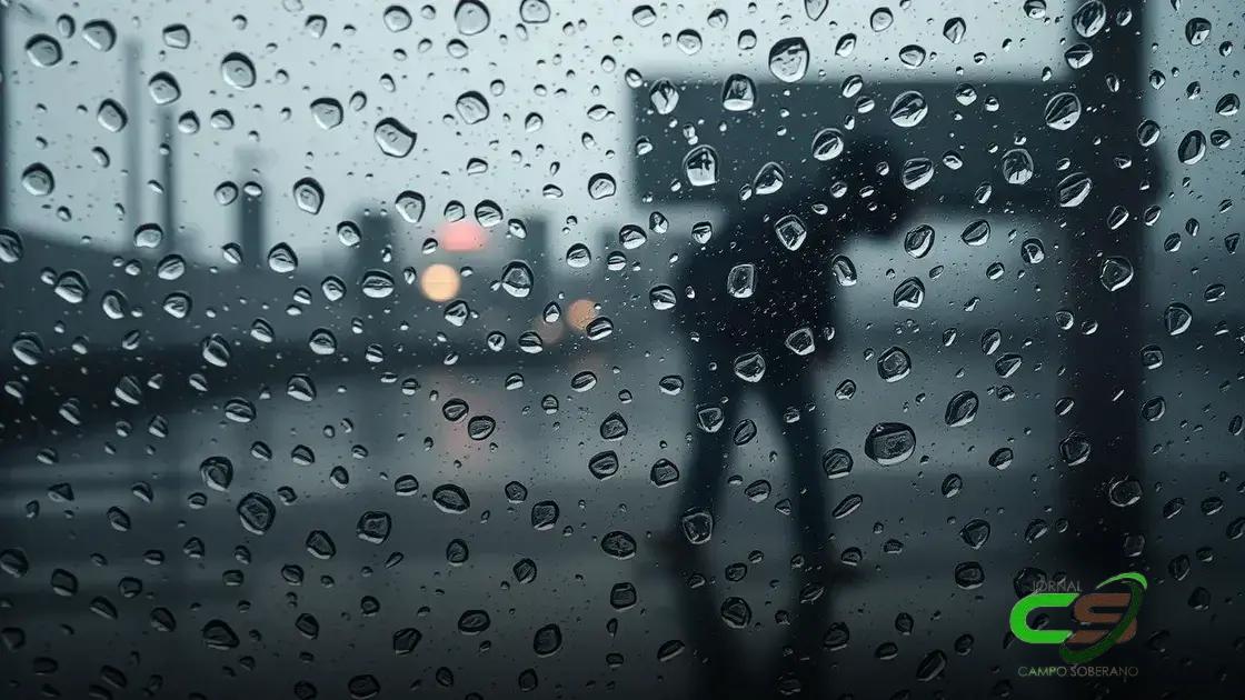 Fenômenos climáticos: 5 regiões do Brasil sob alerta de chuvas