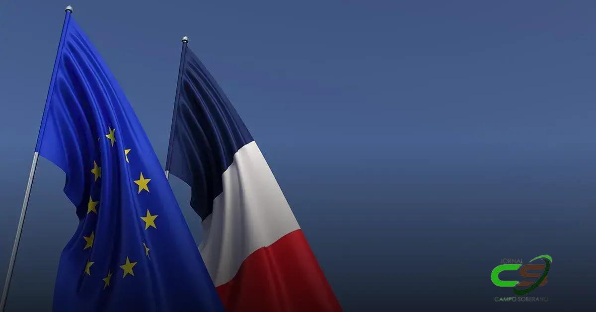 França Perde Status Livre de Gripe Aviária: Novos Casos Confirmados