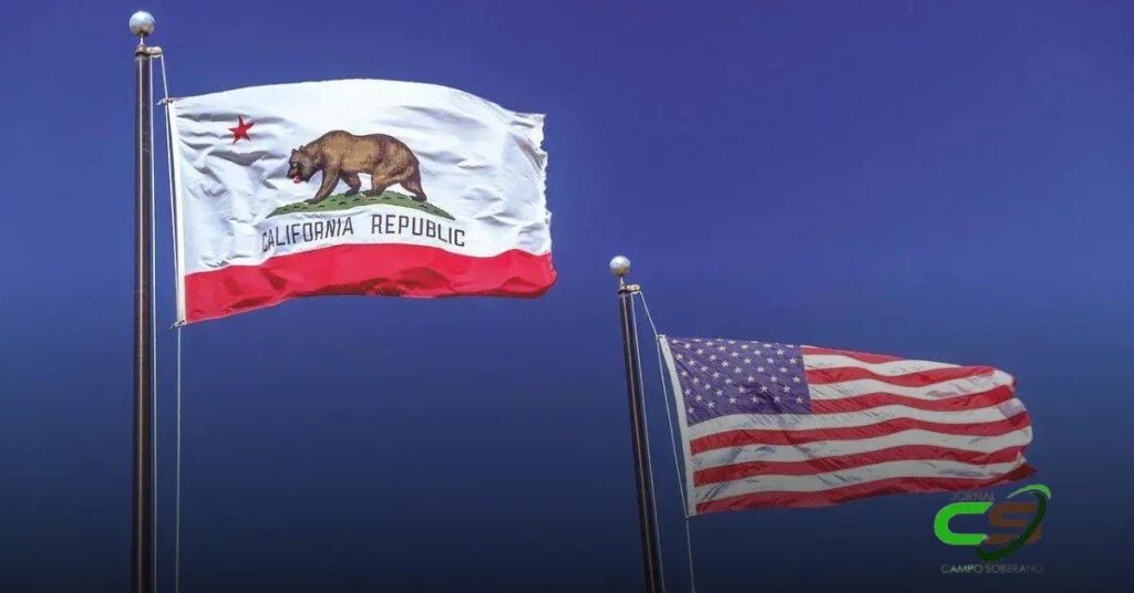 Gripe Aviária: Emergência na Califórnia e Seus Impactos