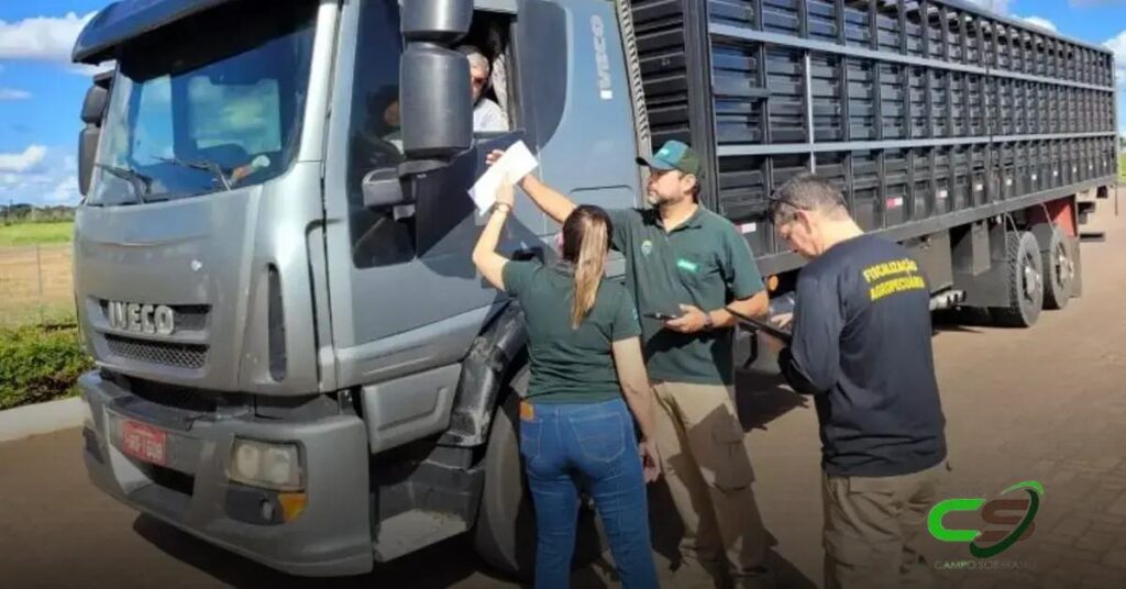 Iagro: Nova Portaria para Controle de Transporte de Cargas Vivas em MS