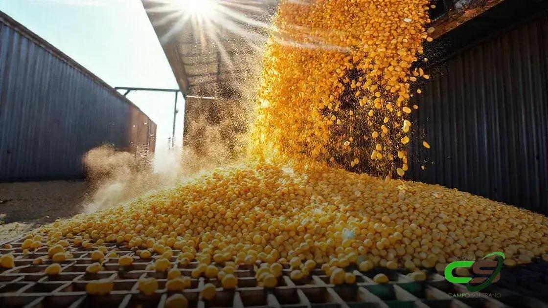 Milho e Etanol: Produção em Alta e Impactos no Mercado!