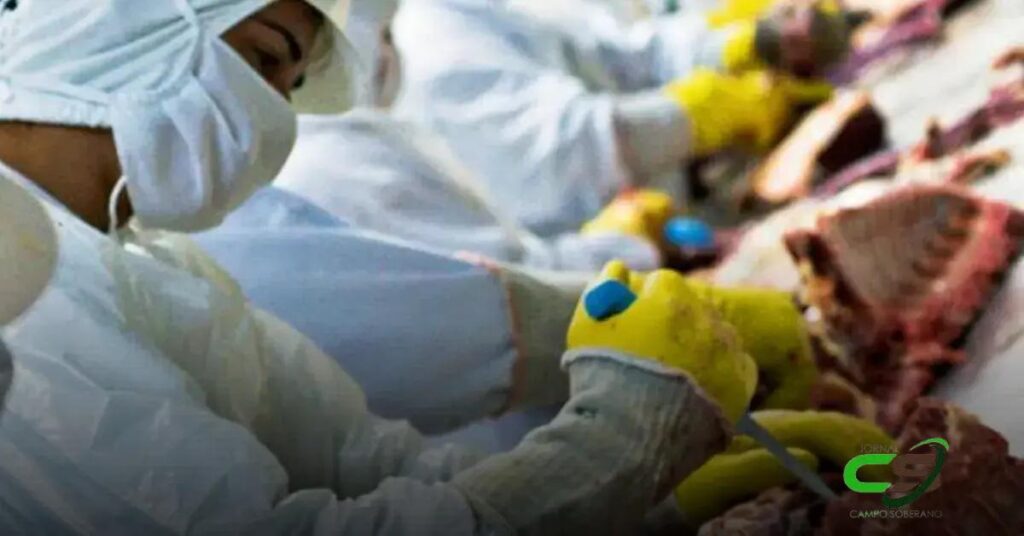 Minerva: Como Aquisições Podem Transformar o Mercado