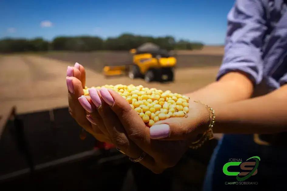 Por que o preço da soja ainda vai demorar a subir? Entenda os motivos