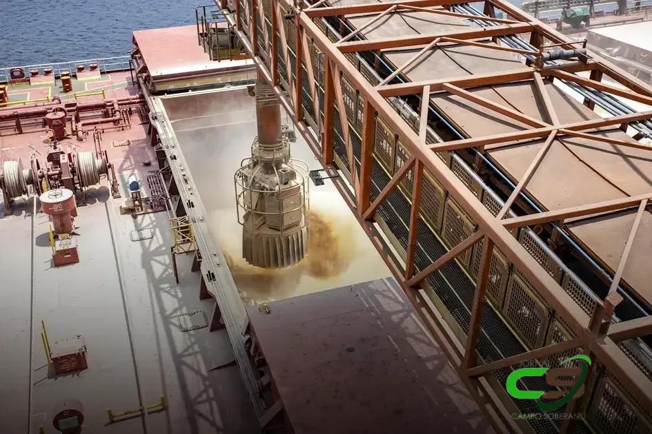 Preço da Soja em Paranaguá: Mantém-se em R$ 139 e Queda em Dezembro