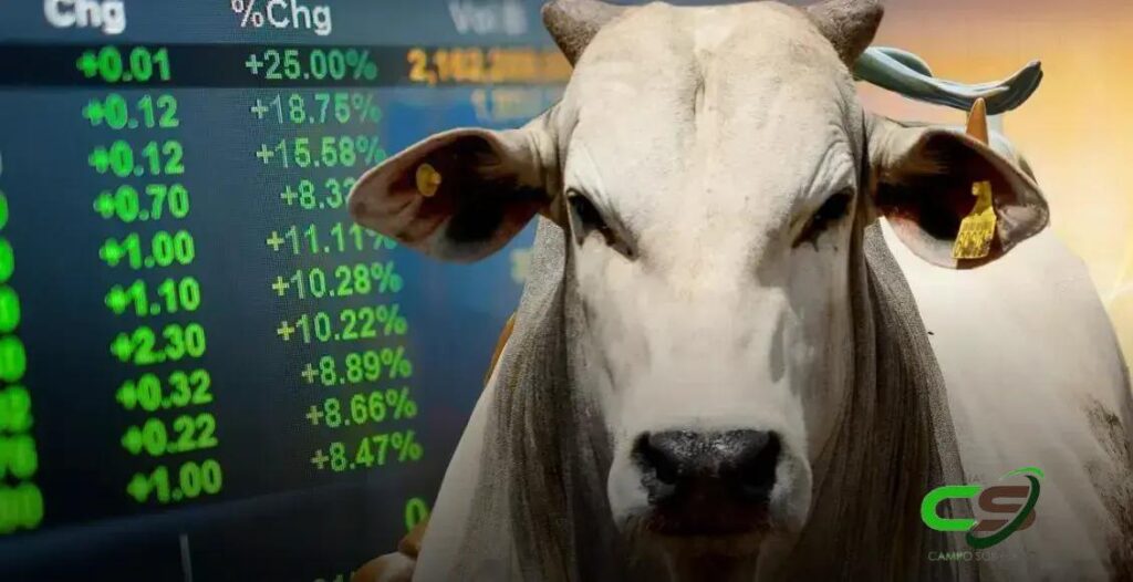 Previsões para a Cotação do Boi Gordo em 2025: O Que Esperar?