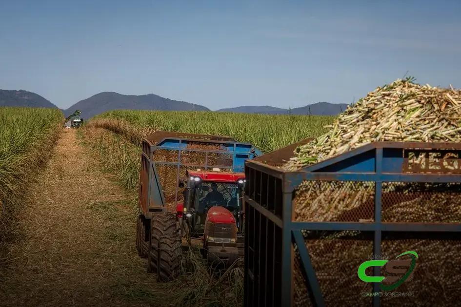 Protagonismo do Brasil no Mercado de Açúcar Mesmo com Safra Menor