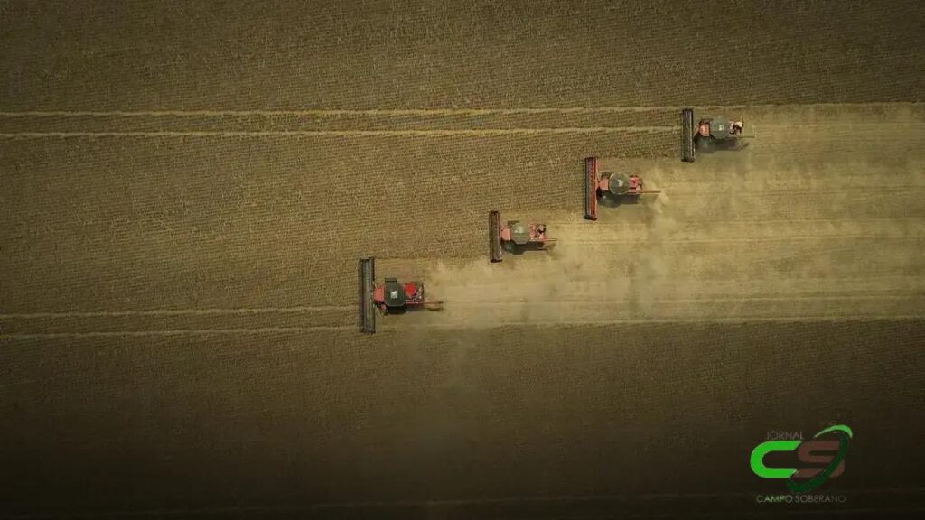 Queda do Preço da Soja em 2024: O que Esperar no Brasil? 2 Queda do Preço da Soja em 2024: O que Esperar no Brasil?