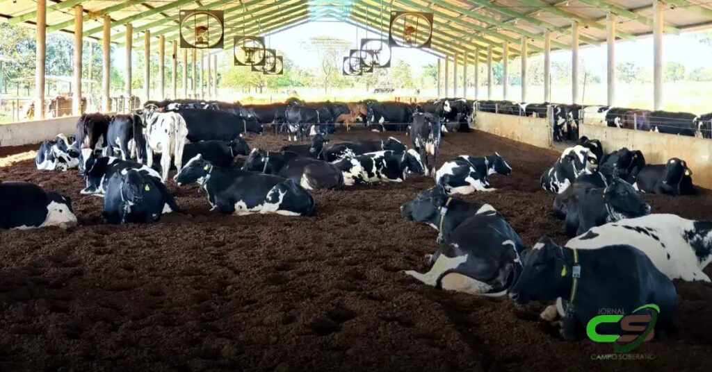 Queda no Preço do Leite: O Que Esperar para o Próximo Mês